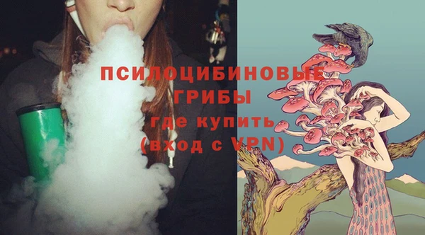 прущая мука Няндома
